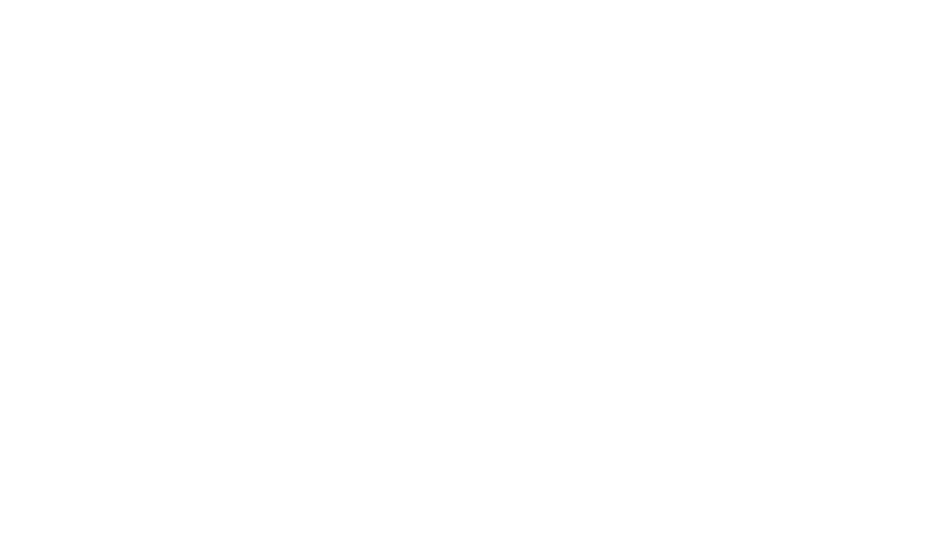 TNH 图形与 TripleNine Hub 英文组合标